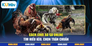 Tin Tức KUWIN - Cập Nhật Thông Tin Giải Trí Mới Nhất